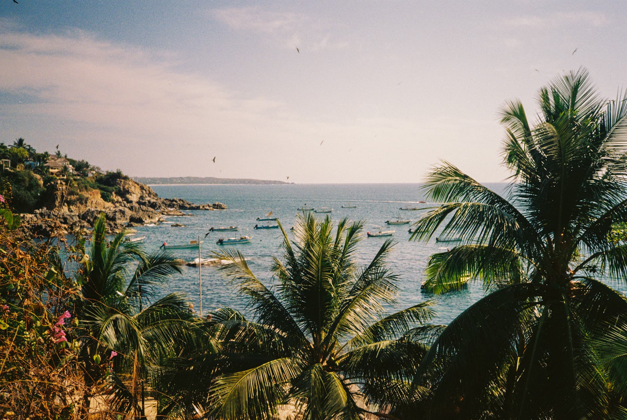 Landscape picture of the sea through the horizon