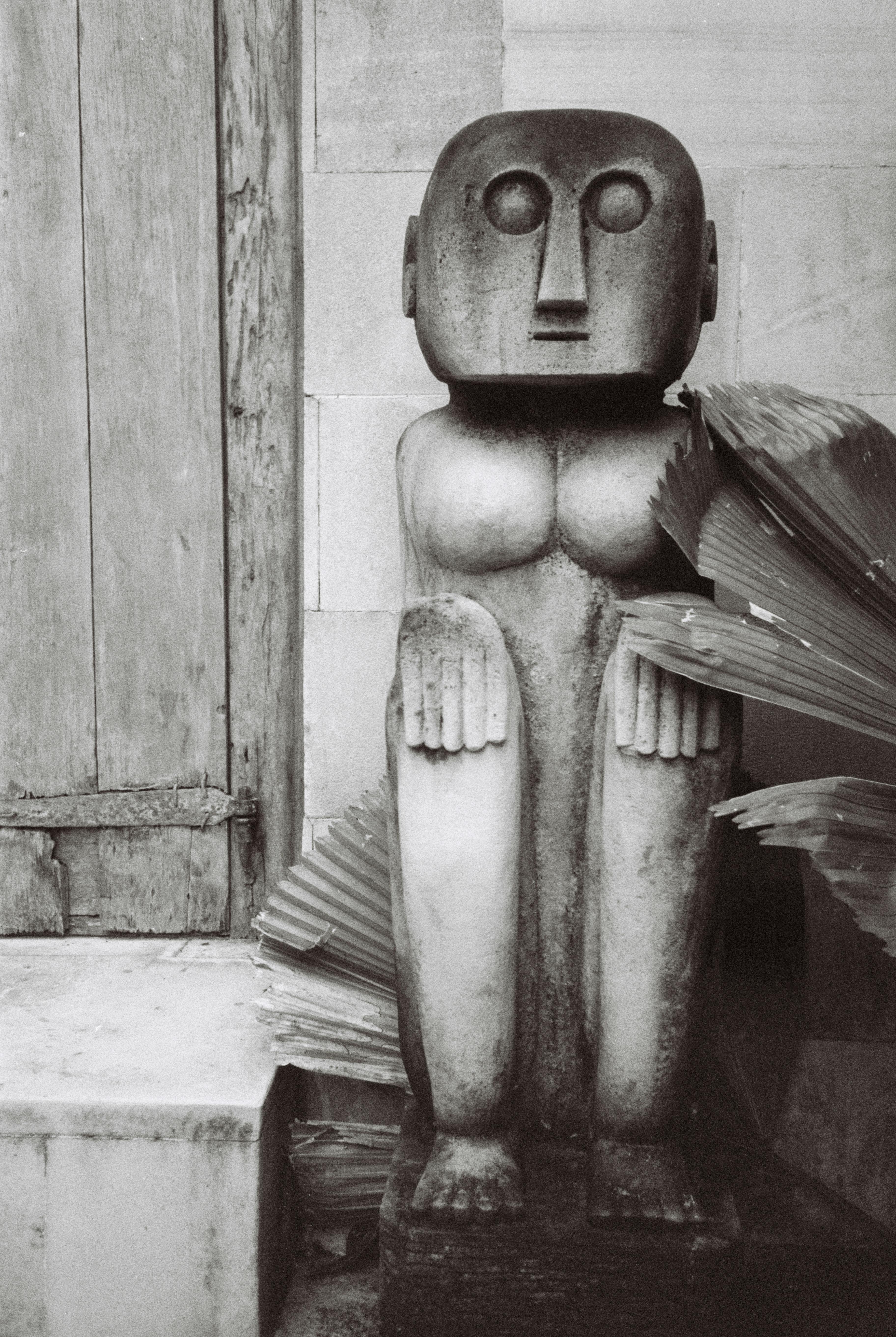 Black and white picture of a statue standing on the floor with a tropical leave