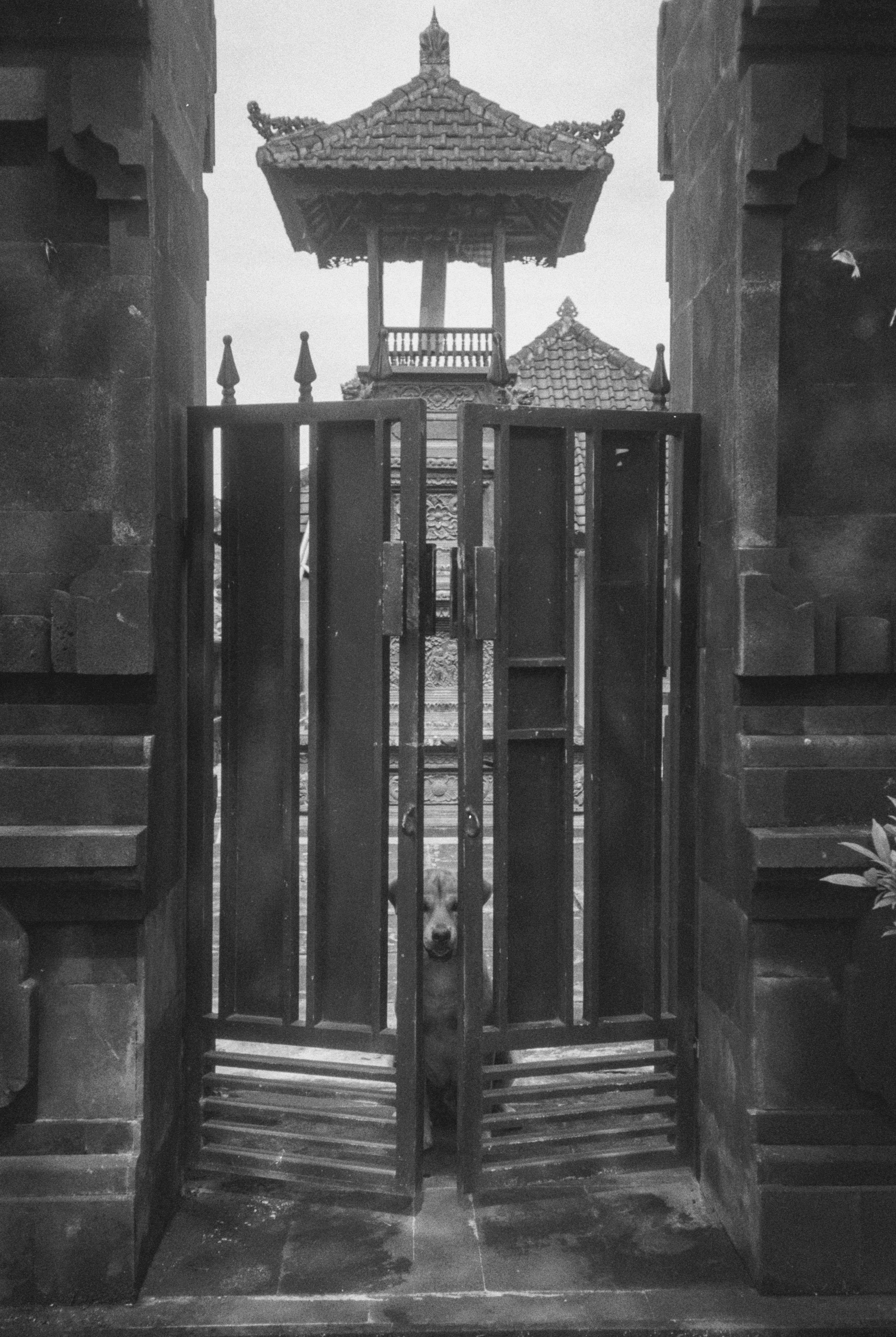 black a white picture of a closed temple where a dog can ba seen between its doors