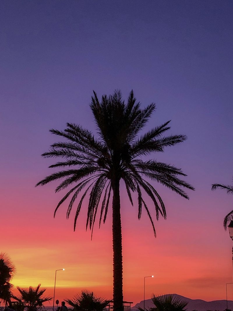 Mastichari by the sunset, Mastichari, Kos. Greece