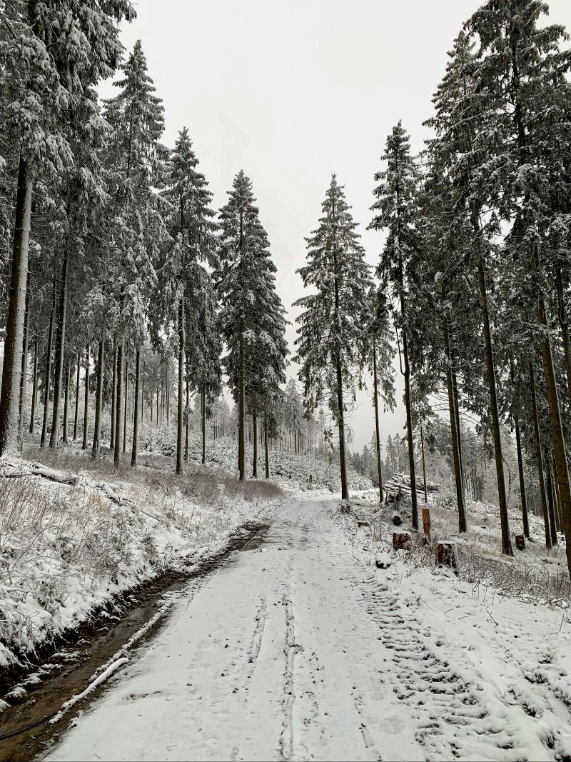 Winter path, Elversberg, Germany