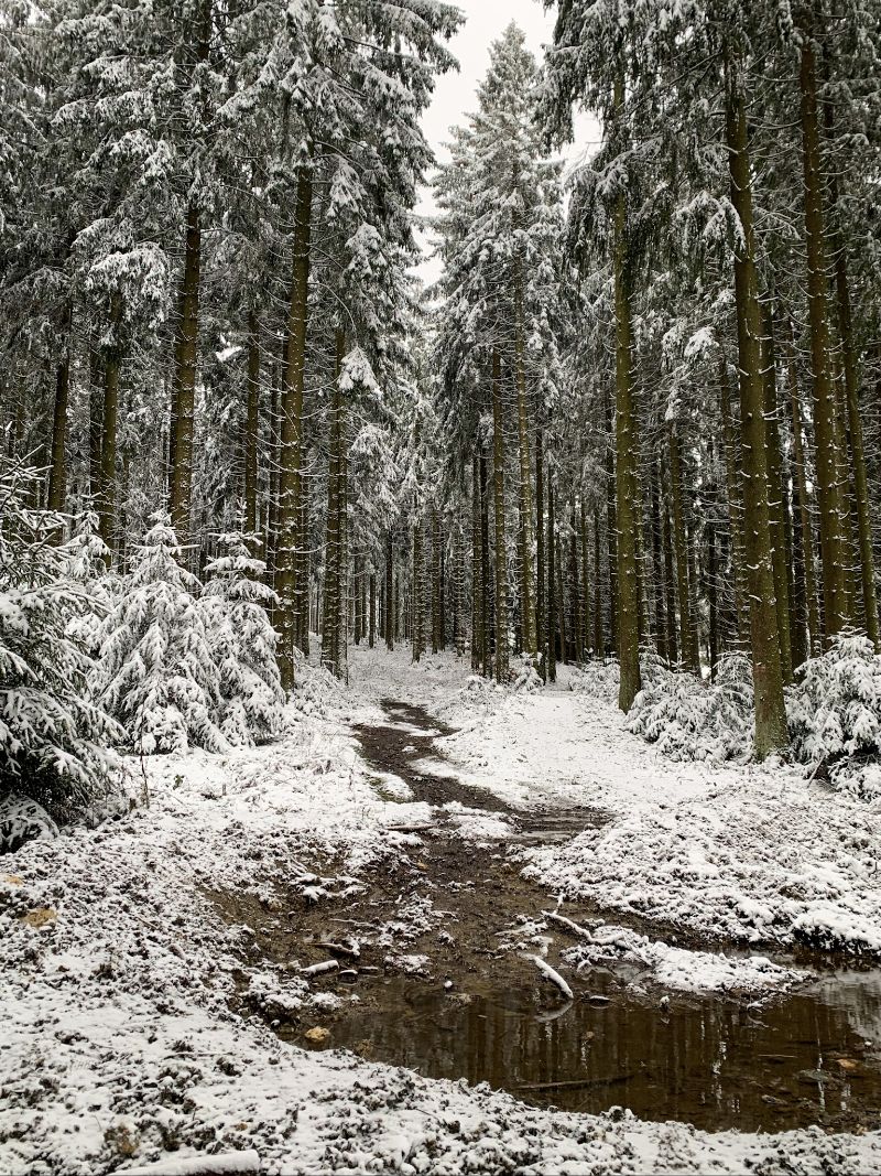 Bach am Erbeskopf