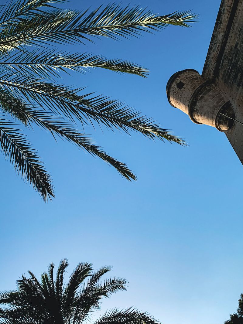 View of the sky